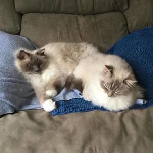 Meet your Posher, Jeanne